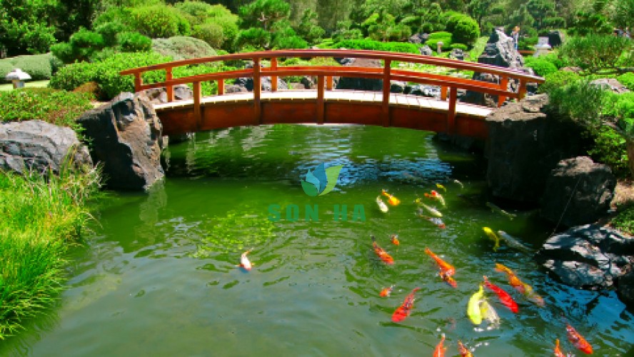 Sân vườn tiểu cảnh với hồ nước nuôi cá thu nhỏ